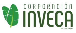 WhatsApp Image 2026-02-05 at 11.14.21 AM